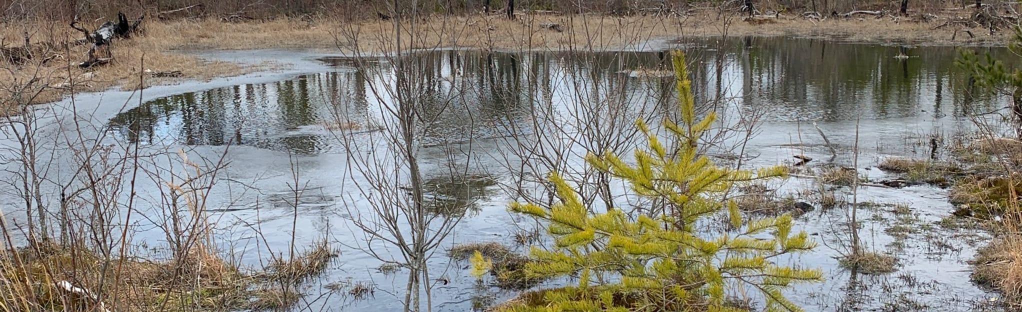 Mountain to Sea Trail The Chimneys - EyJidWNrZXQiOiJhc3NldHMuYWxsdHJhaWxzLmNvbSIsImtleSI6InVwbG9hZHMvcGhvdG8vaW1hZ2UvMjIxNjczNTAvZTQxMWNjZjc3ODU0YmQyYmEzZGIxZDdmZWUyMTJkM2EuanBnIiwiZWRpdHMiOnsidG9Gb3JtYXQiOiJqcGVnIiwicmVzaXplIjp7IndpZHRoIjoyMDQ0LCJoZWlnaHQiOjYyNCwiZml0IjoiY292ZXIifSwicm90YXRlIjpudWxsLCJqcGVnIjp7InRyZWxsaXNRdWFudGlzYXRpb24iOnRydWUsIm92ZXJzaG9vdERlcmluZ2luZyI6dHJ1ZSwib3B0aW1pc2VTY2FucyI6dHJ1ZSwicXVhbnRpc2F0aW9uVGFibGUiOjN9fX0=