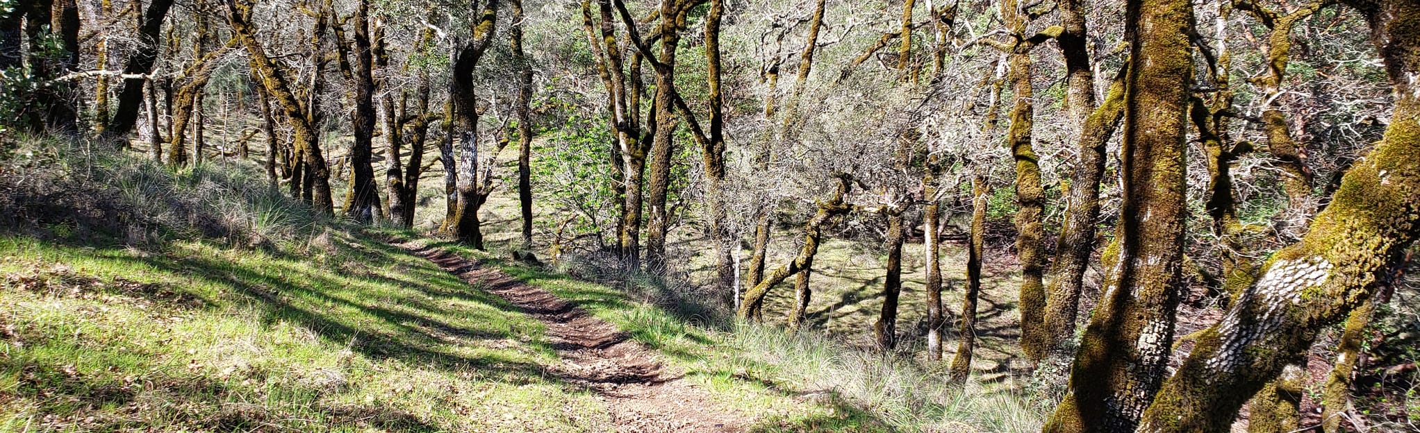 Dry Creek, Rancheria, Boar Scat Loop, California 95 Reviews, Map