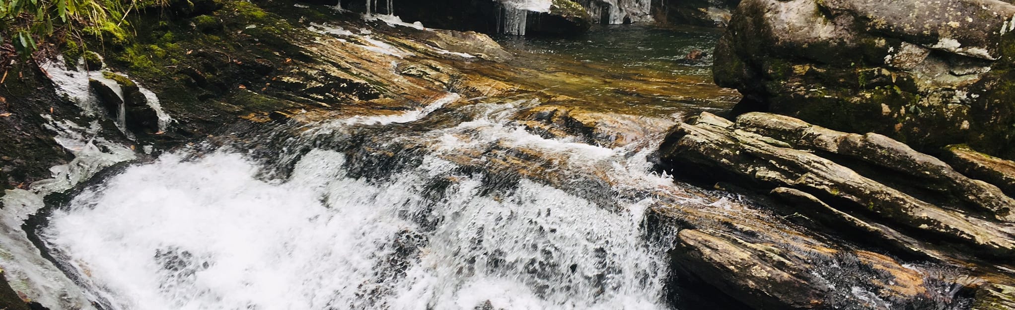 Shining Rock Loop, North Carolina 35 Reviews, Map AllTrails