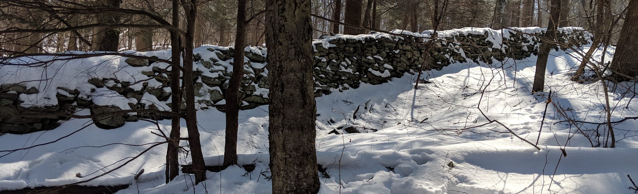 Appalachian Trail: Raven Rock to Black Rock, Maryland - 75 Reviews, Map ...