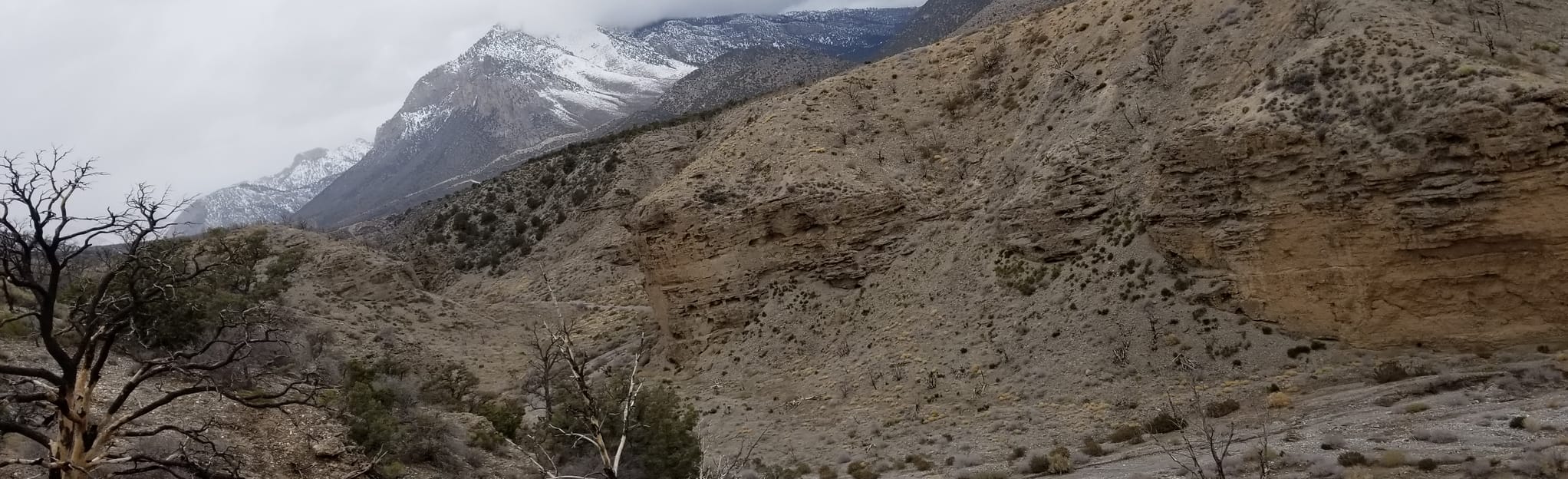 The Slots (Lower Kyle Canyon) Map, Guide Nevada AllTrails