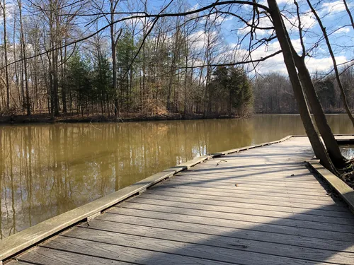 2023 Best 10 Dogs On Leash Trails in Cincinnati Nature Center: Rowe