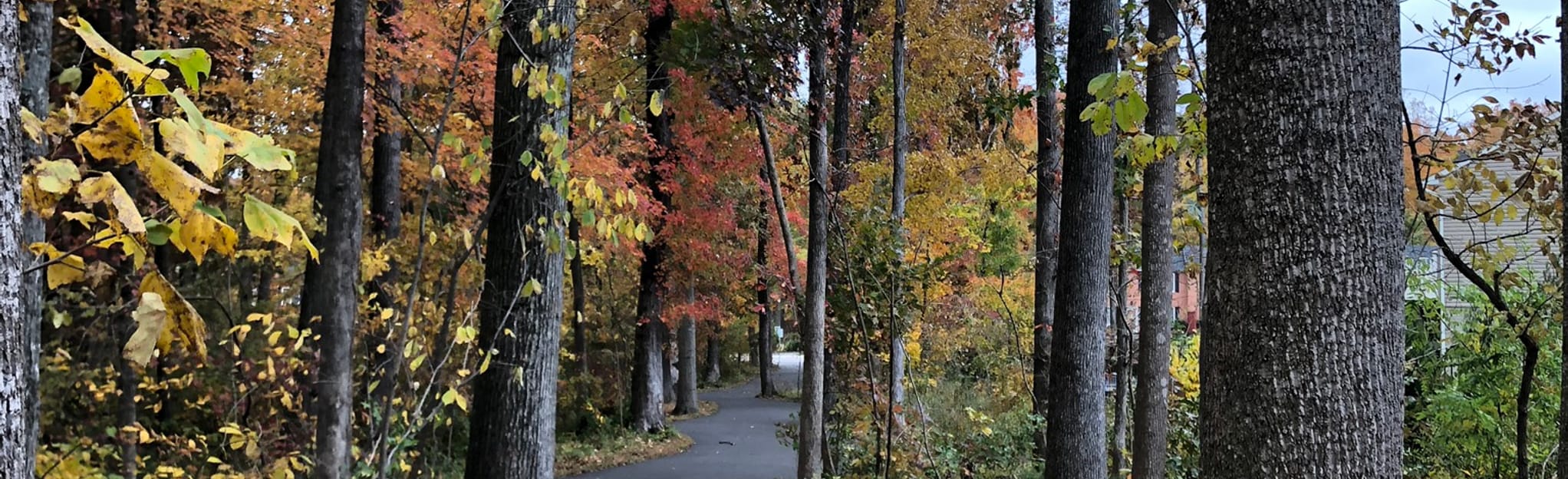 Lake Ashby Trail 93 Reviews, Map Virginia AllTrails