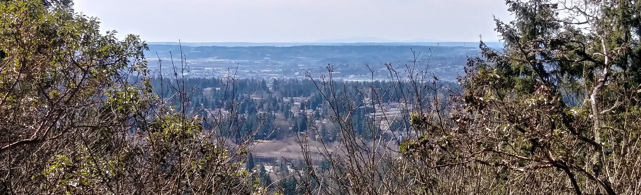 Terrace Trail Map Guide Washington - EyJidWNrZXQiOiJhc3NldHMuYWxsdHJhaWxzLmNvbSIsImtleSI6InVwbG9hZHMvcGhvdG8vaW1hZ2UvMjIyMzU1MzMvYzEzZGFkNzE2MmQzZGRjYmE1MTc2MzFjZjdiMDgzYWMuanBnIiwiZWRpdHMiOnsidG9Gb3JtYXQiOiJqcGVnIiwicmVzaXplIjp7IndpZHRoIjoyMDQ0LCJoZWlnaHQiOjYyNCwiZml0IjoiY292ZXIifSwicm90YXRlIjpudWxsLCJqcGVnIjp7InRyZWxsaXNRdWFudGlzYXRpb24iOnRydWUsIm92ZXJzaG9vdERlcmluZ2luZyI6dHJ1ZSwib3B0aW1pc2VTY2FucyI6dHJ1ZSwicXVhbnRpc2F0aW9uVGFibGUiOjN9fX0=