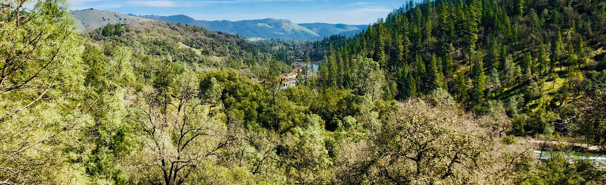 Greenwood, Gerle, East Ridge and Down and Up | Map, Guide - California ...
