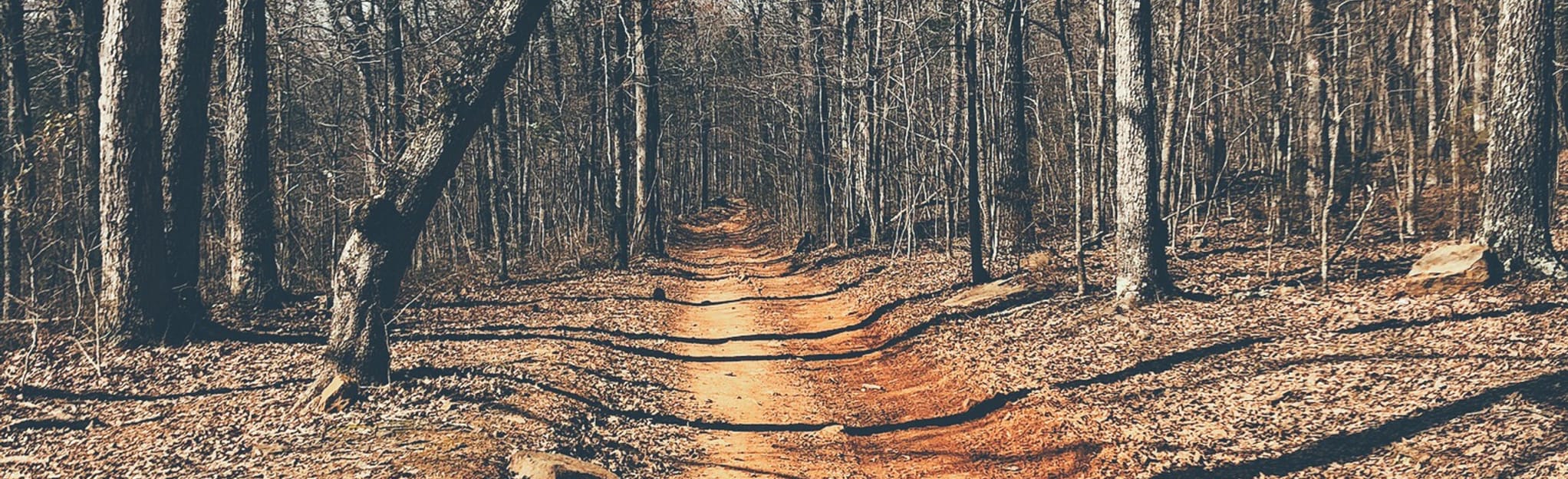 Lee Creek OHV Trail, Arkansas 36 Reviews, Map AllTrails