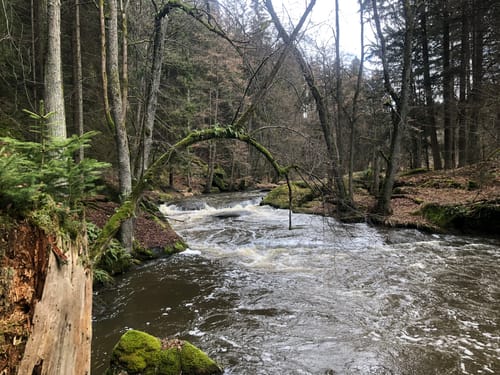 In das wildromantische Waldnaabtal