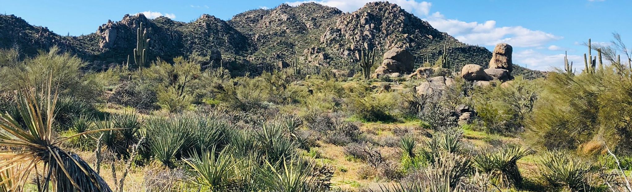 Granite Mountain and Dove Valley Loop: 2.435 foto - Arizona | AllTrails