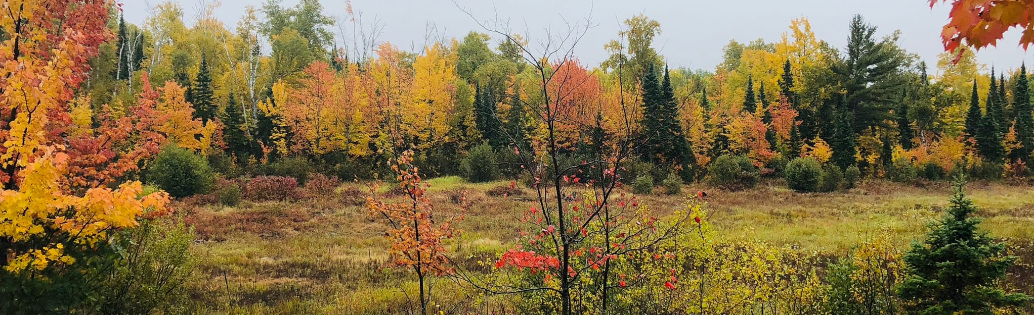 Black Creek Nature Sanctuary Hiking Trail, Michigan 189 Reviews, Map