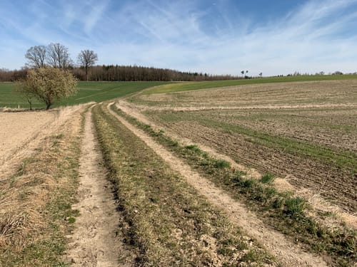 Durch das Glonntal von Markt Indersdorf nach Petershausen
