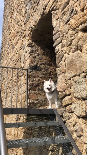 Von Katzenrohrbach über den Schlossberg nach Zell