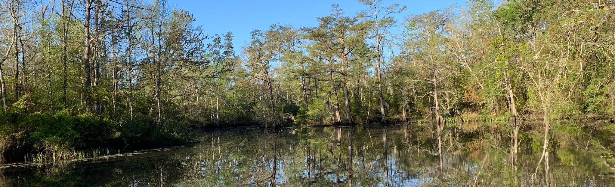 Bayou Kayak to Big Branch Map, Guide Louisiana AllTrails
