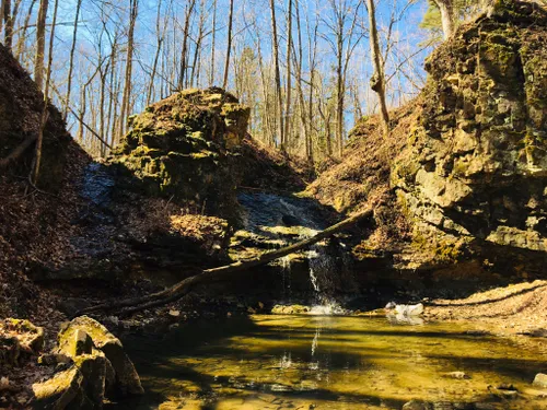 Best Hikes and Trails in Salamonie River State Forest | AllTrails
