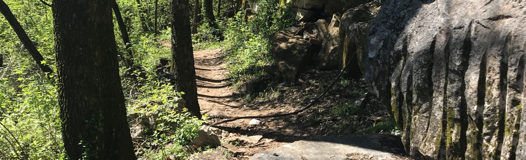 Turnbuckle Trail to Ridge Trail 608 Reviews, Map Tennessee