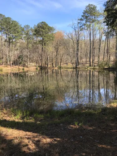 Hikes And Trails In Callaway Gardens
