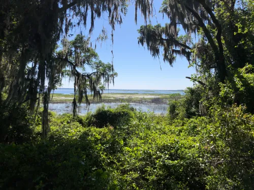 10 Best Trails and Hikes in Gainesville | AllTrails