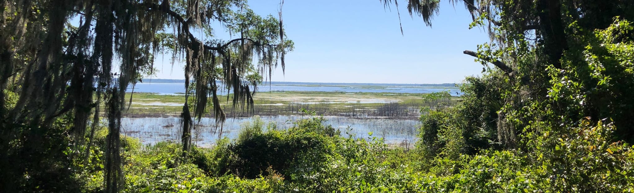 Gainesville 6th Street Rail Trail to Alachua Lake Overlook, Florida