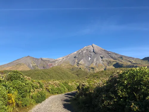 10 Best Hikes And Trails In Egmont National Park | AllTrails