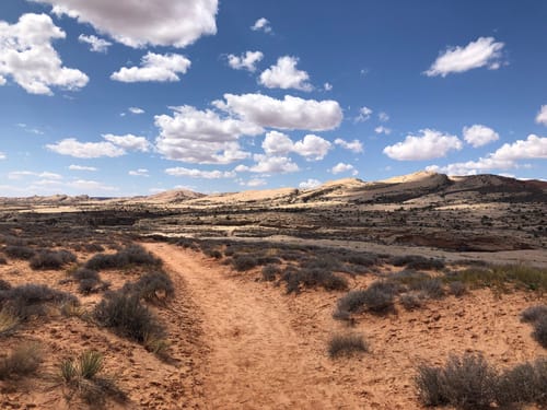 Best 10 Hikes and Trails in Bears Ears National Monument | AllTrails