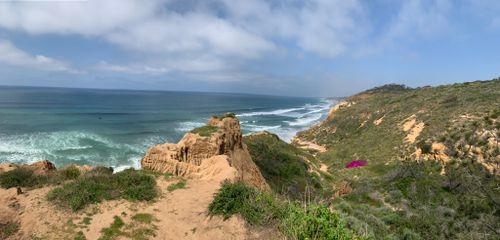 are dogs allowed at torrey pines hike