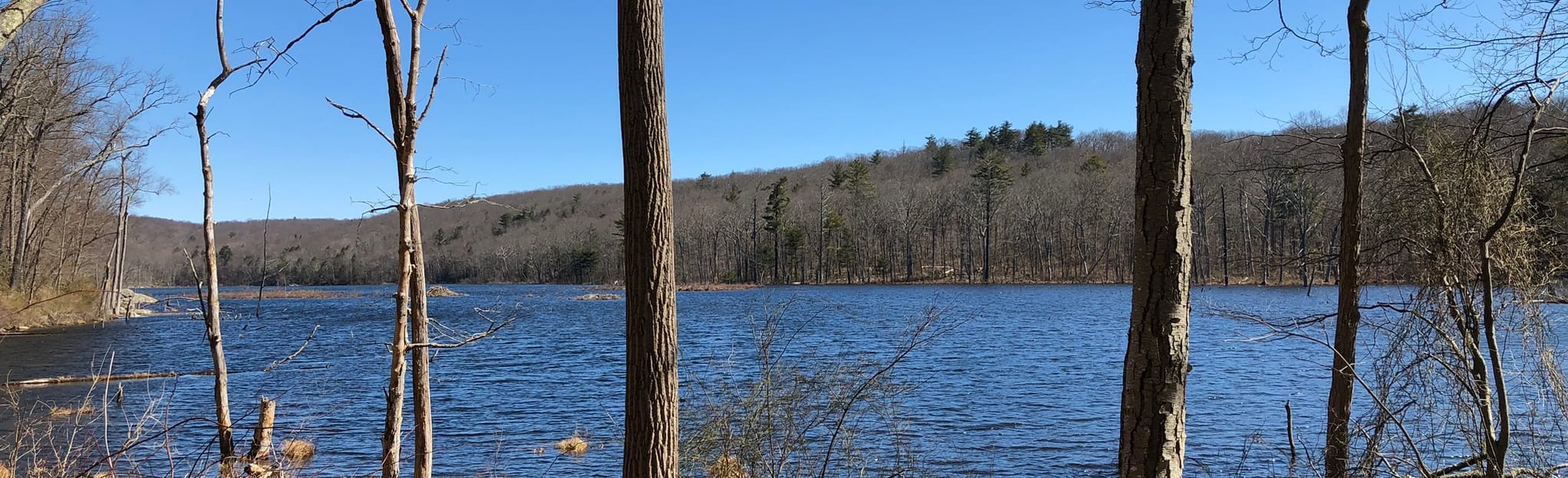 Buckabear Pond Loop 32 Reviews, Map New Jersey AllTrails