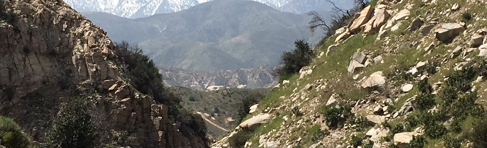 Camp Cajon Crowder Creek Trail Map, Guide California AllTrails