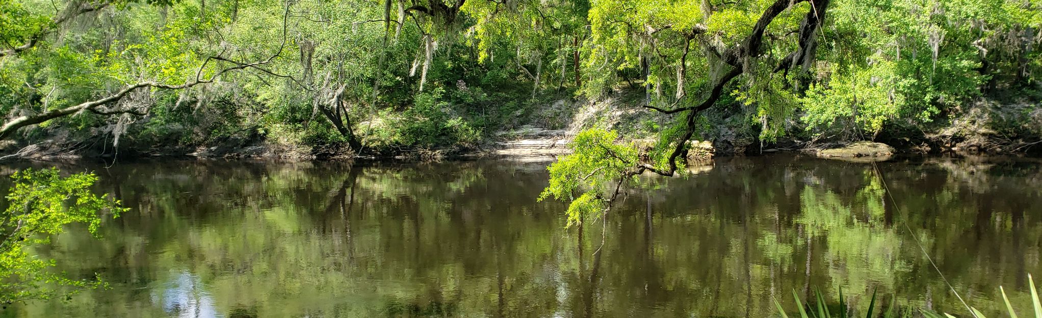 Balanced Rock Trail, Florida - 178 Reviews, Map | AllTrails