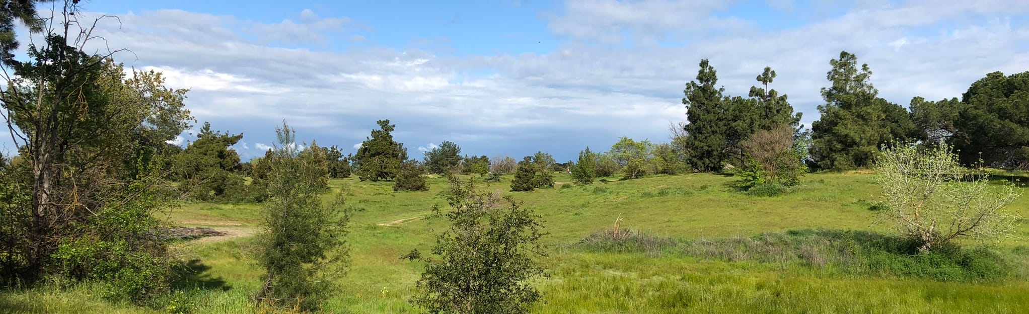 Woodward Park Loop , California 470 Reviews, Map AllTrails