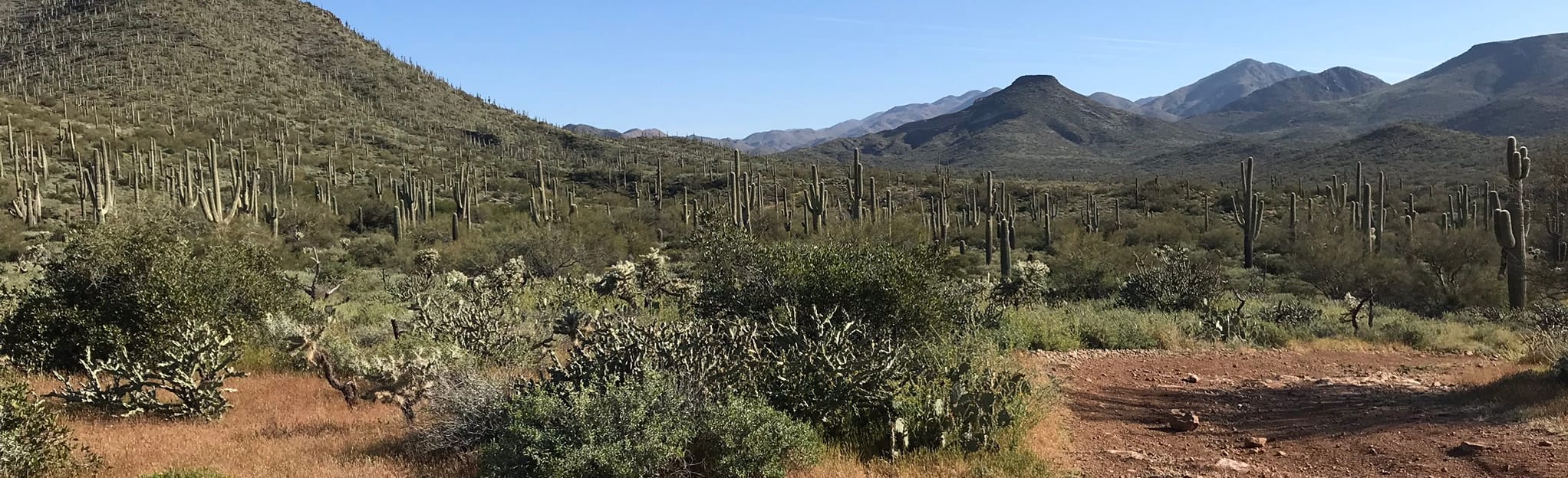 Fig Springs, Arizona 29 Reviews, Map AllTrails