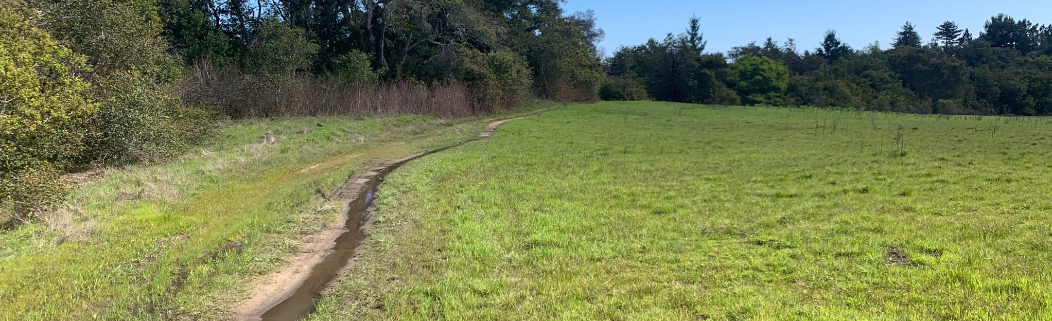 Wilder Ranch Loop 65 Reviews - EyJidWNrZXQiOiJhc3NldHMuYWxsdHJhaWxzLmNvbSIsImtleSI6InVwbG9hZHMvcGhvdG8vaW1hZ2UvMjIyOTk1MjQvNjQ1ZTI3OTA4OGJhMGQyMDU5Yjk2YzBiMTM2ODczMjkuanBnIiwiZWRpdHMiOnsidG9Gb3JtYXQiOiJqcGVnIiwicmVzaXplIjp7IndpZHRoIjoyMDQ0LCJoZWlnaHQiOjYyNCwiZml0IjoiY292ZXIifSwicm90YXRlIjpudWxsLCJqcGVnIjp7InRyZWxsaXNRdWFudGlzYXRpb24iOnRydWUsIm92ZXJzaG9vdERlcmluZ2luZyI6dHJ1ZSwib3B0aW1pc2VTY2FucyI6dHJ1ZSwicXVhbnRpc2F0aW9uVGFibGUiOjN9fX0=