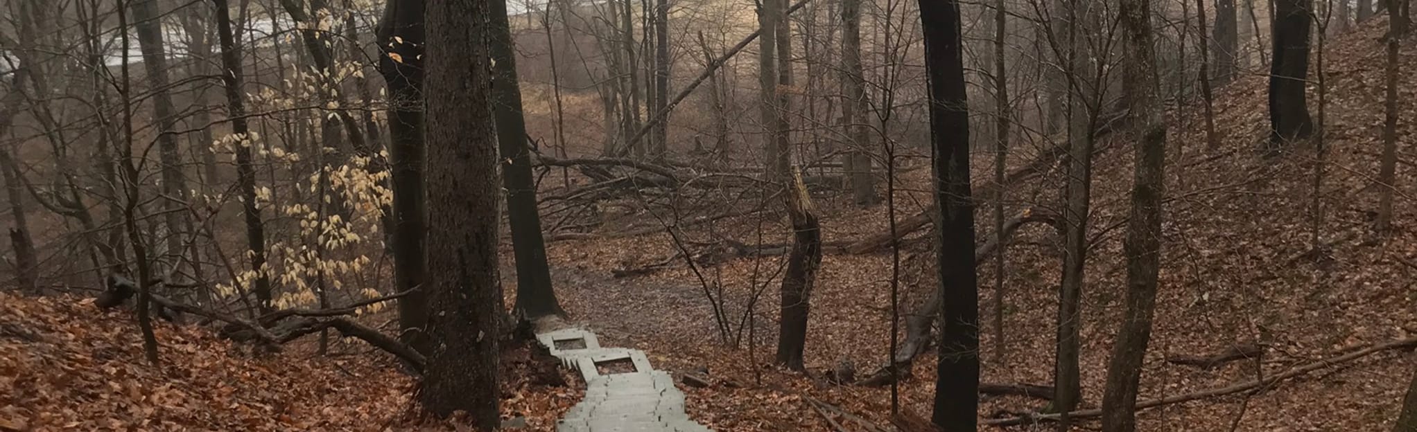 Buckeye, West Highland Road, and Stanford Loop, Ohio 90 Reviews, Map