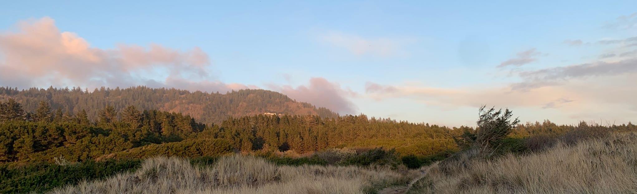Baker Beach Trail 44 Reviews, Map Oregon AllTrails