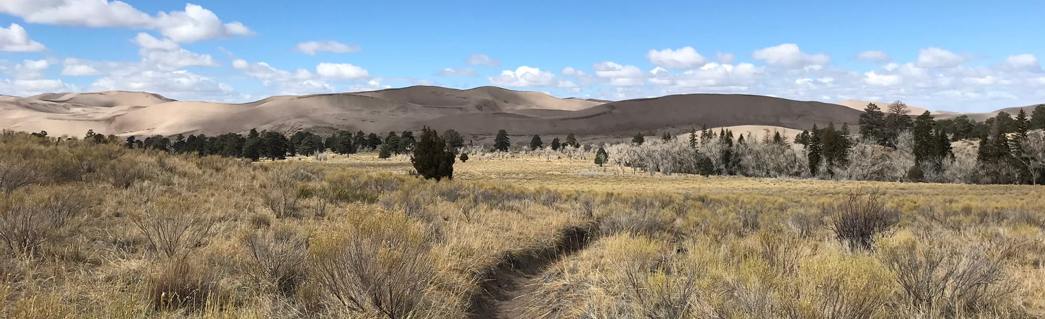Sand Ramp Trail, Colorado 59 Reviews, Map AllTrails