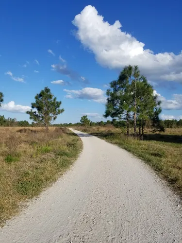 10 Best Trails and Hikes in Lakeland | AllTrails