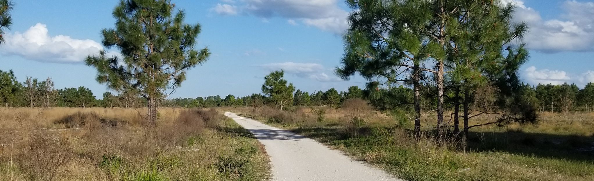 Fort Fraser Connector Trail To Circle B Bar Preserve: 46 Reviews, Map ...