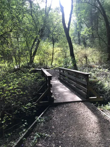 Best Hikes and Trails in Harvey West Park AllTrails