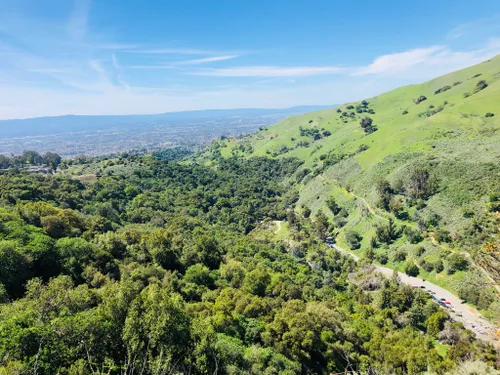 Best 10 Hikes and Trails in Alum Rock Park | AllTrails