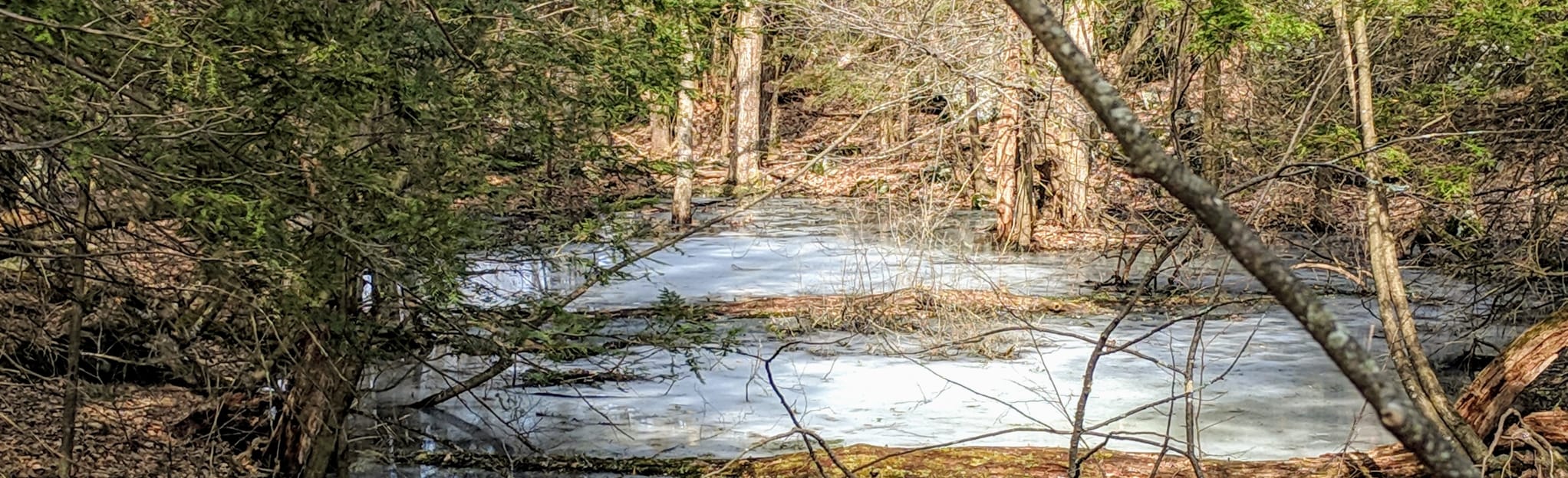 Prospect Mountain 261 Reviews, Map Connecticut AllTrails