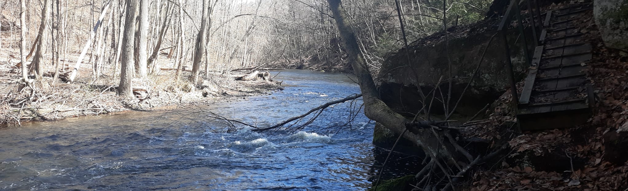 AllTrails Adam's Mill Trail 111 Reviews, Map Connecticut