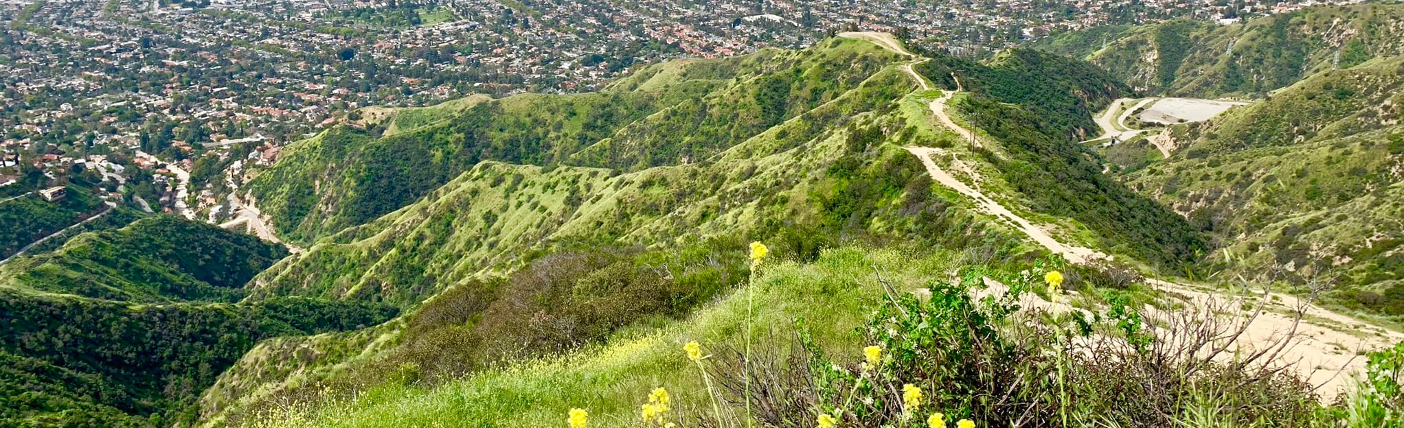 Mount Thom via Las Flores Motorway 978 Reviews, Map California