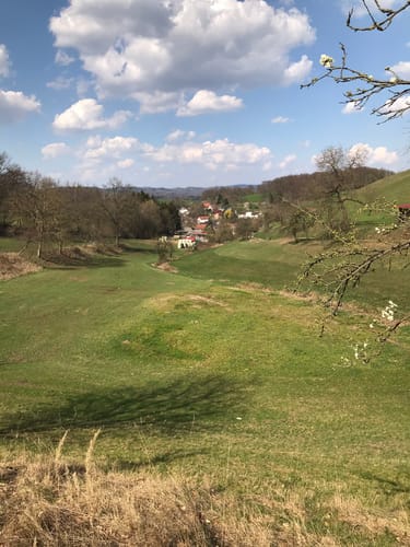 Rundwanderweg Hornbach 1: Eulenbusch-Weg
