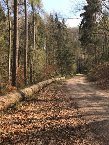 Rundwanderweg um Obermumbach