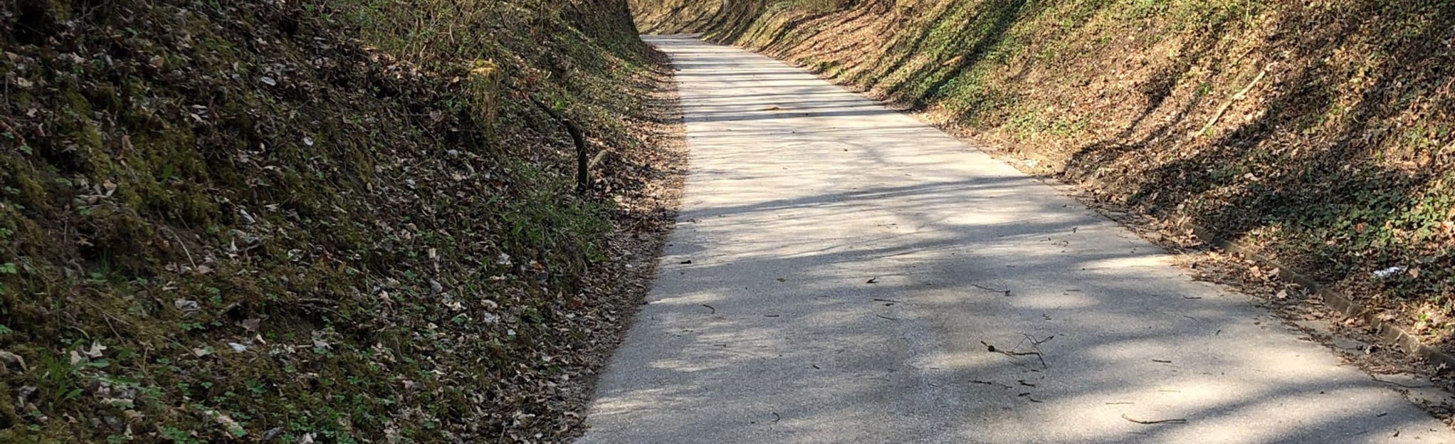 Neuhaus Loop no.1: 8 foto&amp;#39;s - Bavaria, Duitsland | Wandelen - AllTrails