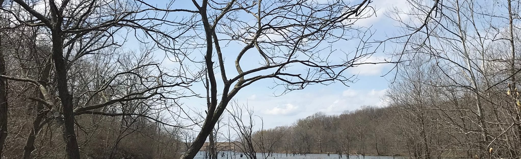 Lake Vista Trail Loop from Liggett Road, Missouri 203 Reviews, Map