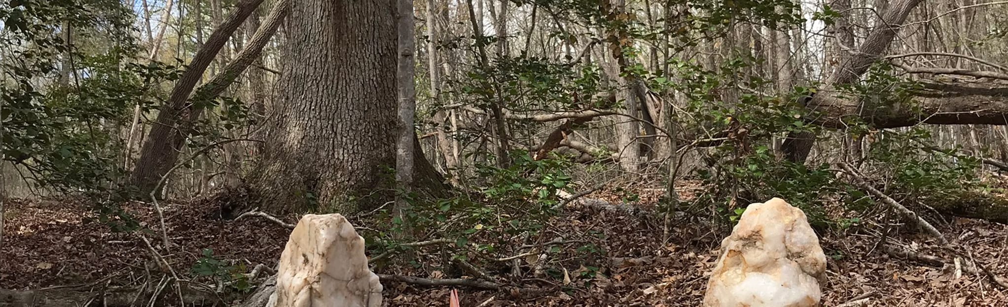 Old Creedmoor Expert Mountain Bike Loop [CLOSED] Map, Guide North