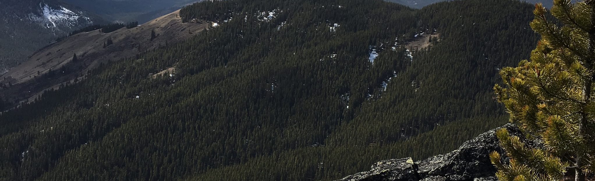 Junction Hill 235 Reviews, Map Alberta, Canada AllTrails