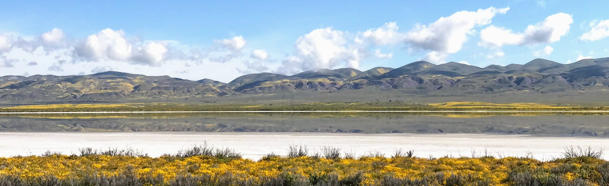 AllTrails Soda Lake Overlook and Boardwalk 89 Reviews, Map California