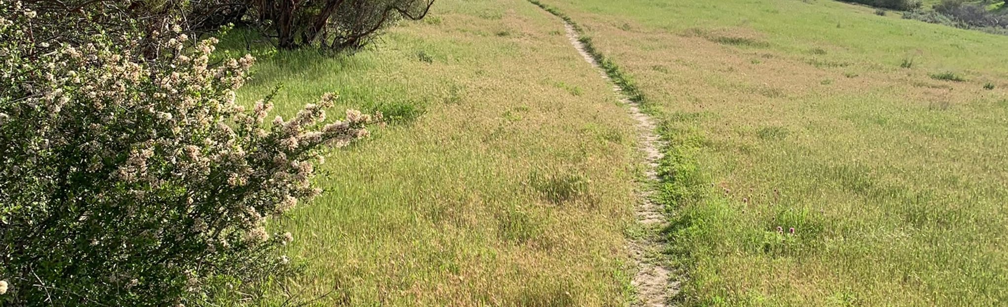 Willow Springs Loop Trail [PRIVATE PROPERTY], California 7 Reviews