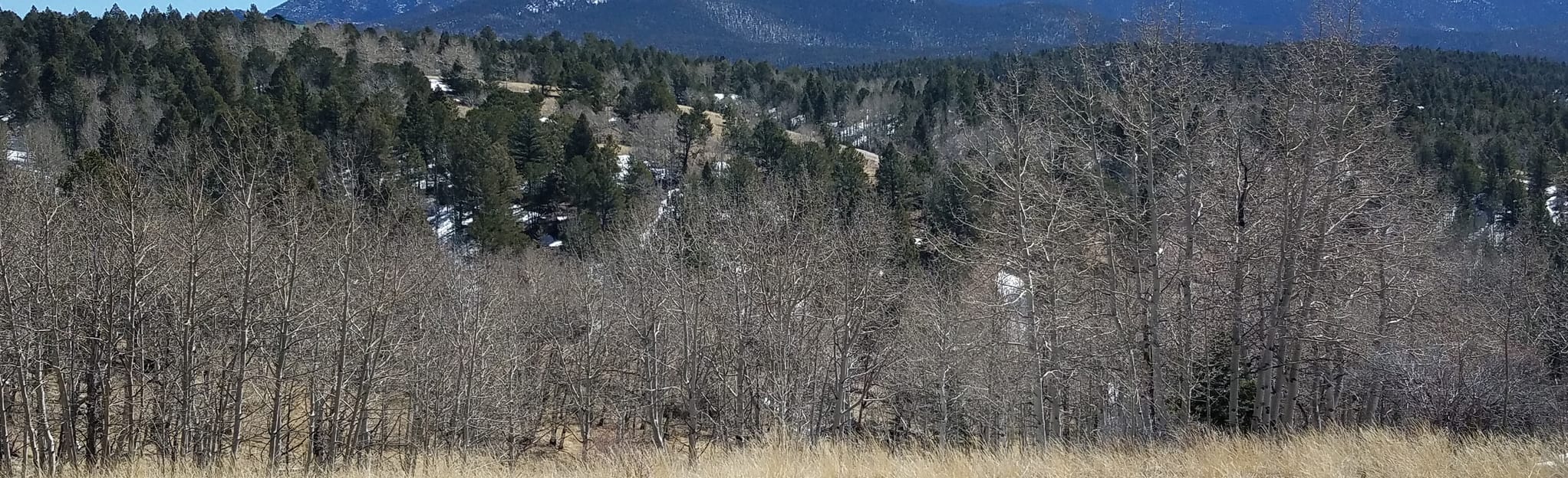 Raven Ridge, Red Tail and Lone Eagle Overlook via Outlook Ridge: 371 ...