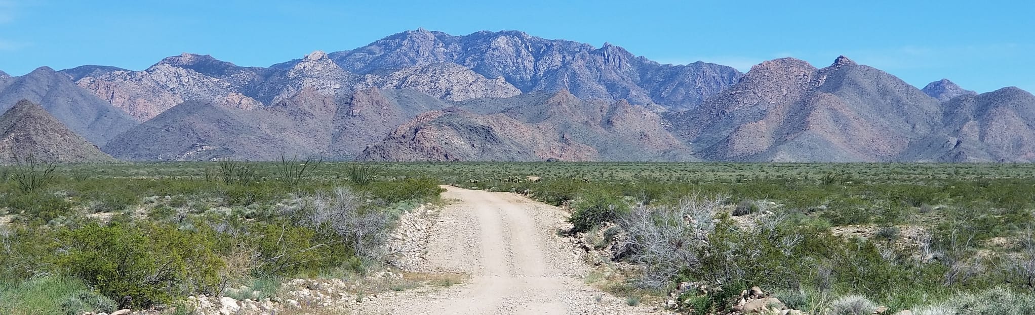 Walnut Canyon OHV Route Map, Guide Arizona AllTrails